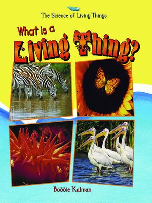 cover image of What is a Living Thing?